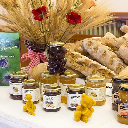 Отель Trieste 3*